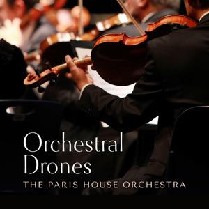 亚洲AV㊙️无码一区八掛海下载
